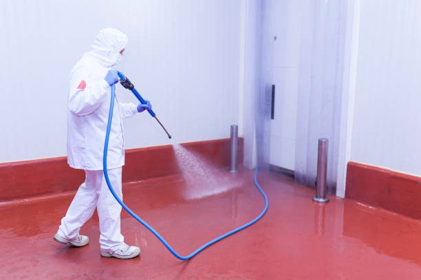 Best Pre-Holiday Cleaning  in Hohenwald, TN